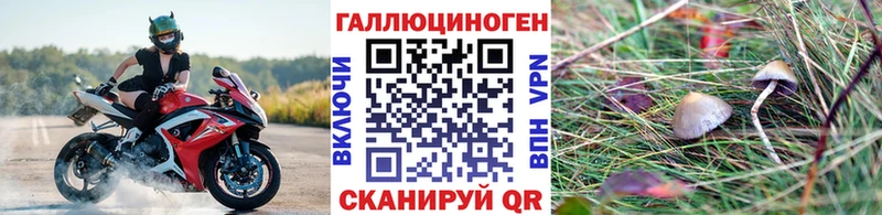 Псилоцибиновые грибы мицелий  Холм 